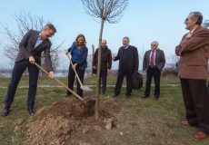ДОГАЂАЈИ: ЦЕРН на Институту ДОГАЂАЈИ: ЦЕРН на Институту