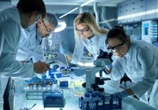 NOWELTIES: Call for 14 post-graduate researchers NOWELTIES: Call for 14 post-graduate researchers