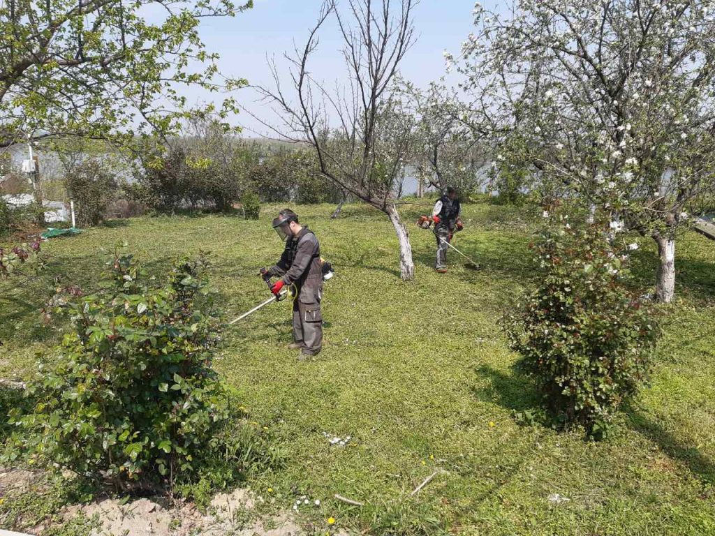 ФОТО-ГАЛЕРИЈА: Пролеће на Институту